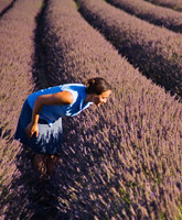 Provence Walking and Hiking Trips